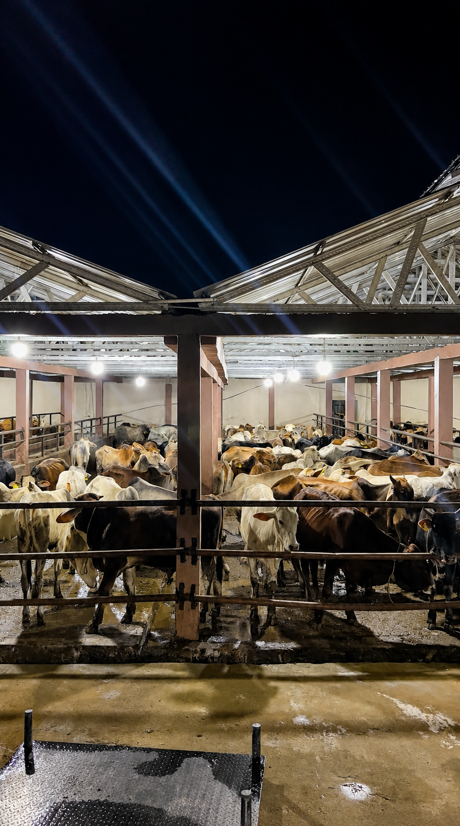Kandang BMA FARM